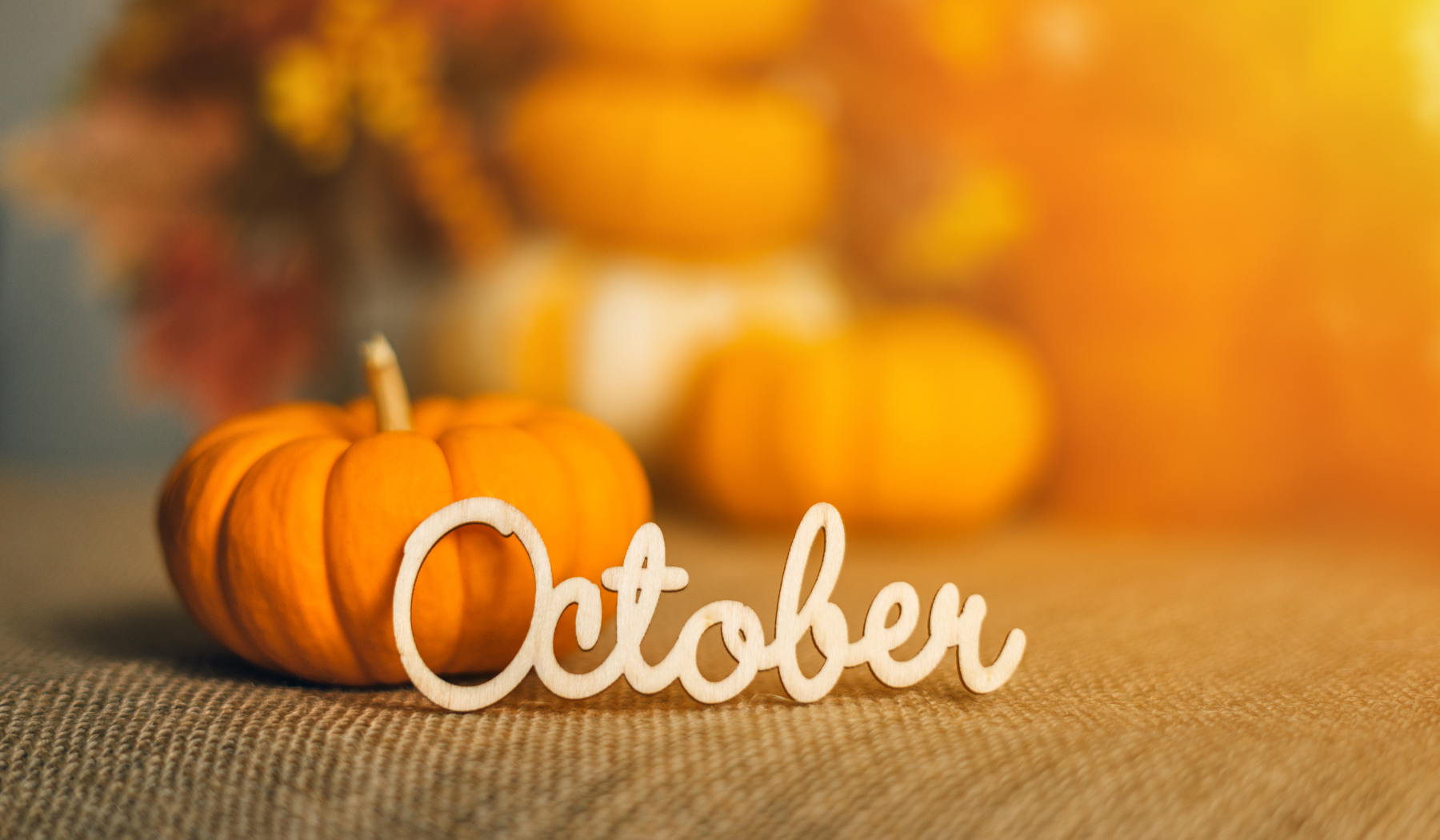 october-engagement-ideas-for-fun-this-fall